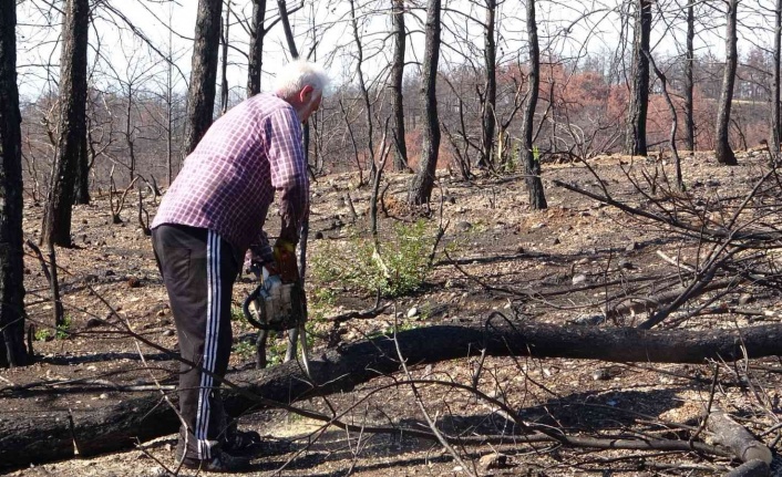 Manavgat’ta yanan ormanlık alanlar fidan dikimine hazırlanıyor