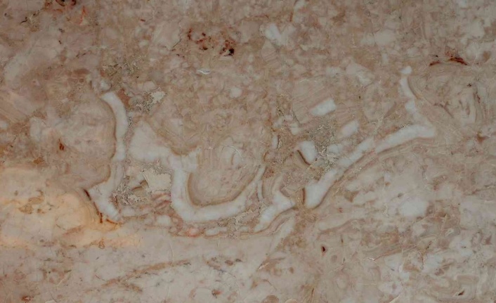 195 milyon yıllık mermerde ‘Bismillah’ yazısı