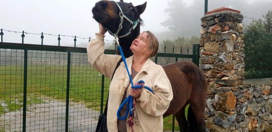 Alanya’da Alman turistin çalınan atı jandarma tarafından bulundu