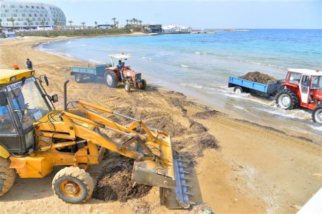 Alanya Belediyesi sahil bandını dip bucak temizliyor