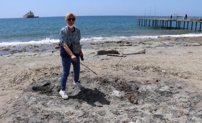 Koparmanın cezası yüksek olan kum zambakları Alanya'da yakıldı iddiası