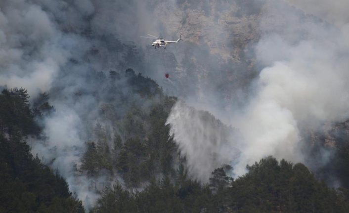 Alanya'daki orman yangınında mücadele sürüyor