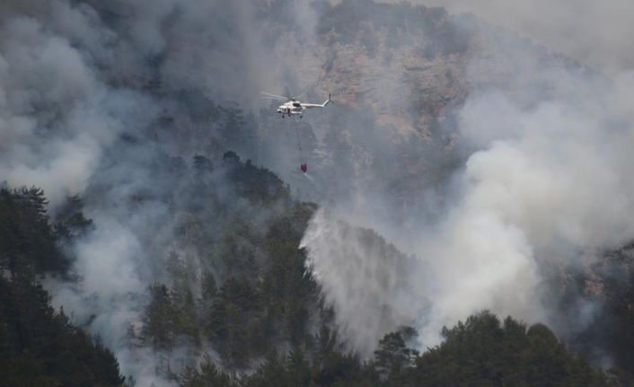Alanya’da dün başlayan orman yangını kontrol altına alındı