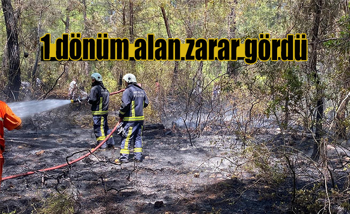 Alanya’da ormanlık alanda yangın çıktı