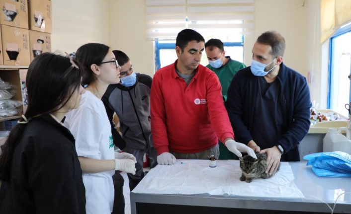 Makedon öğrenciler Antalya Hayvanat Bahçesi’nde eğitim alıyor
