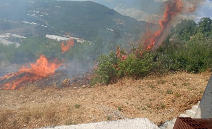 Alanya’da yangın çıktı: 10 dönüm tarla kül oldu