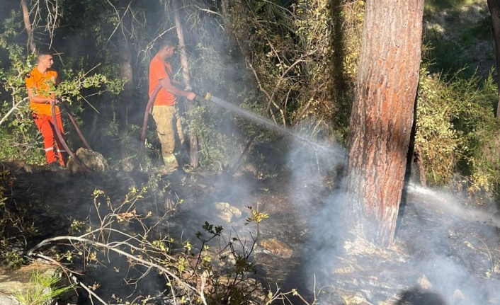 Alanya’daki orman yangını büyümeden söndürüldü | VİDEO HABER