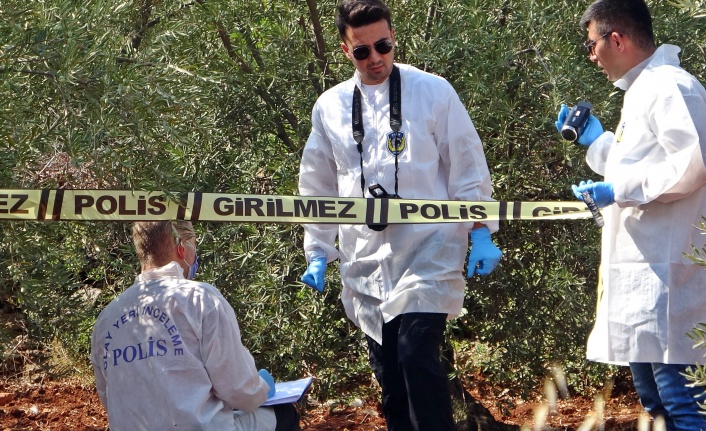 Zeytinlik alanda 23 yaşındaki gencin cansız bedeni bulundu