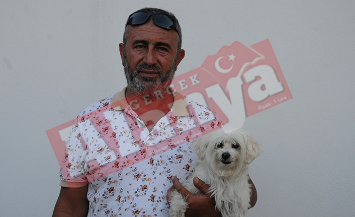 Antalya'da çalınan süs köpeği Alanya'da bulundu