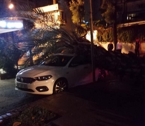 Alanya’da park halindeki aracın üzerine ağaç devrildi