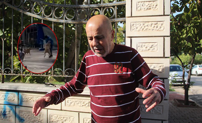 Yaşlı adam sokak köpeğinin saldırısıyla dehşeti yaşadı | VİDEO HABER