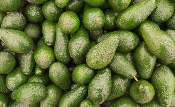 Alanya’da bir depodan 400 adet avokado çalındı