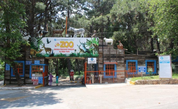 Antalya, ‘Hayvanat Bahçeleri’ toplantısına ev sahipliği yapacak
