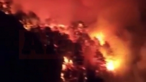 Alanya’da orman yangını çıktı | 3 ayrı noktada çıkan yangına müdahale edilemiyor